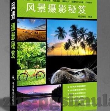 球探足球比分比-探秘球探足球比分比，数据背后的战术博弈与赛事洞察