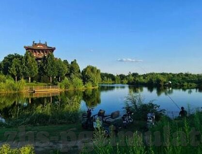 足球比分网球比分-足球比分与网球比分，赛场风云的数字密码